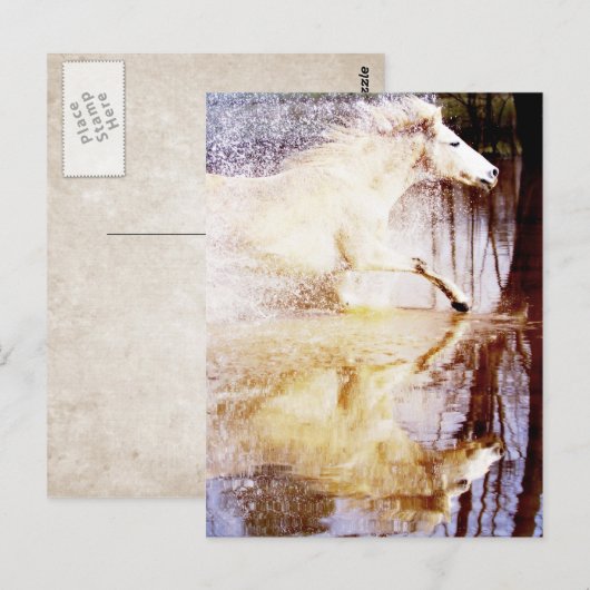 Galloping White Water Horse Briefkaart (Voorkant / Achterkant)