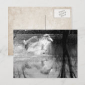 Galloping White Water Horse Briefkaart (Voorkant / Achterkant)
