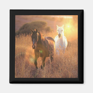 Galloping Wild Horses Square Magnet