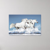 Galloping Witte Andalusische paarden Canvas Afdruk (Voorkant)