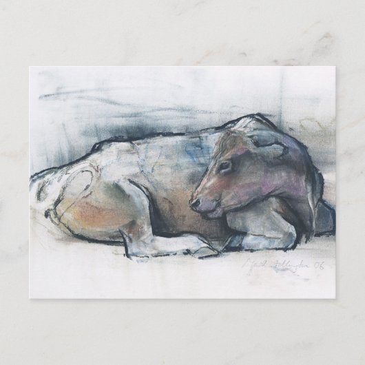 Galloway 2006 briefkaart (Voorkant)