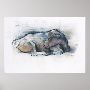 Galloway 2006 poster