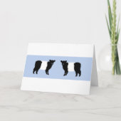 Galloway calf brthday card bedankkaart (Voorkant)