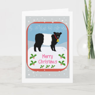 Galloway calf Christmas card Bedankkaart