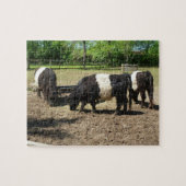 Galloway Cattle Puzzle Legpuzzel (Horizontaal)