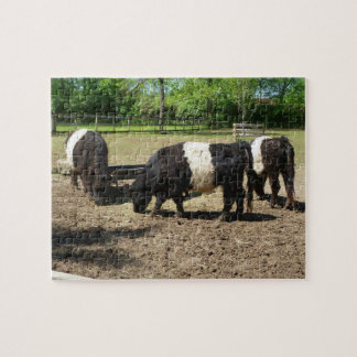 Galloway Cattle Puzzle Legpuzzel