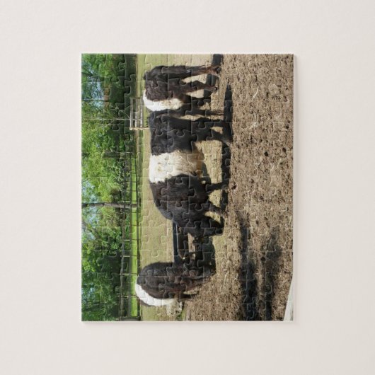 Galloway Cattle Puzzle Legpuzzel (Verticaal)