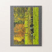 Galloway Cows op Rockport Maine Boerderij Legpuzzel (Verticaal)