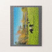 Galloway-koeien die grazen op gras in Herfst Legpuzzel (Verticaal)