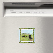 Galloway Koeien omwoeld, Fridge Magnet (Insitu (Vaatwasser))