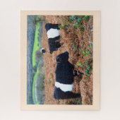 Galloway Legpuzzel (Verticaal)