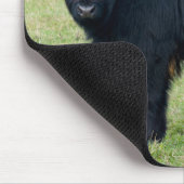 Galloway-muis met riem muismat (Hoek)