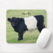 Galloway-muis met riem muismat (Met muis)