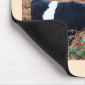 Galloway rundvee muismat (Hoek)