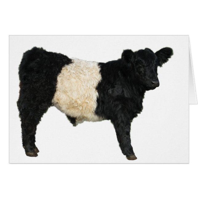 Galloway Steer Cutout (Voorkant Horizontaal)