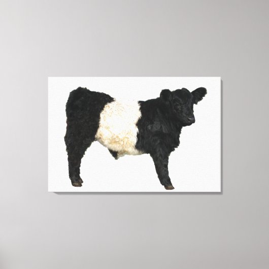 Galloway Steer Cutout Beltie Gift Canvas Afdruk (Voorkant)
