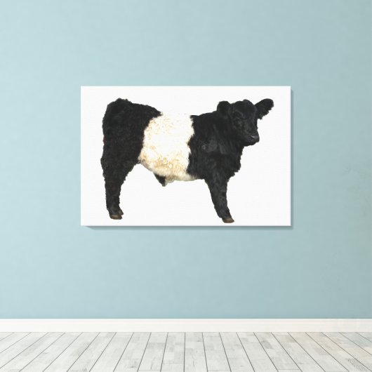 Galloway Steer Cutout Beltie Gift Canvas Afdruk (Insitu (Houten vloer))