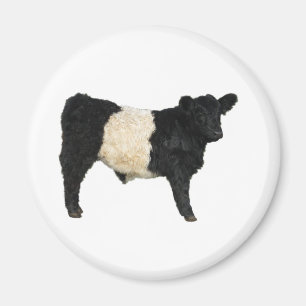 Galloway Steer Cutout Magneet