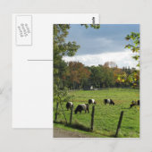 Galloways Briefkaart (Voorkant / Achterkant)