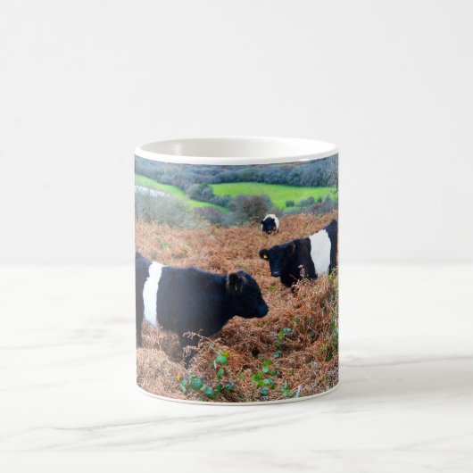 Galloways Koffiemok (Center)