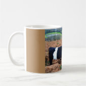 Galloways Koffiemok (Links)