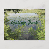 Gallup Park in de haven van Ann Briefkaart (Voorkant)