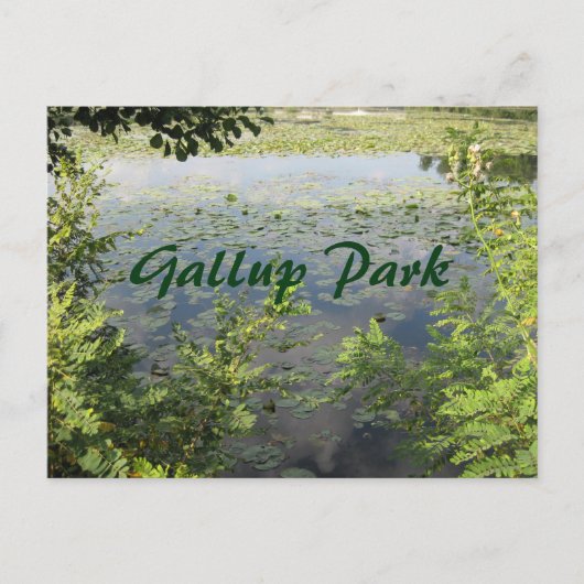 Gallup Park in de haven van Ann Briefkaart (Voorkant)