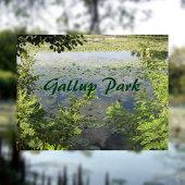 Gallup Park in de haven van Ann Briefkaart