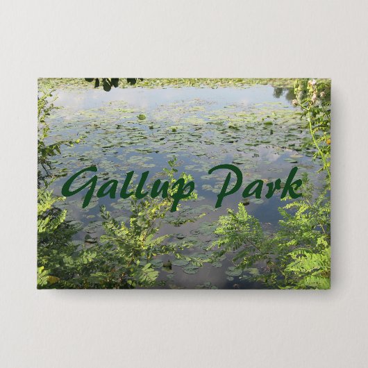 Gallup Park in de haven van Ann Button (Voorkant)