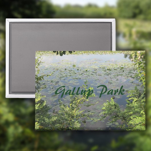 Gallup Park in de haven van Ann Magneet