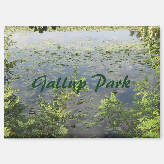 Gallup Park in de haven van Ann Magneet (Voorkant)
