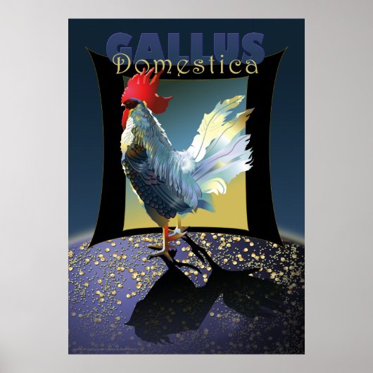 Gallus Domestica Poster (Voorkant)