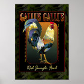 Gallus Gallus International Poster (Voorkant)