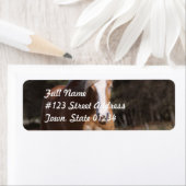 Galoping Palomino-mailetiketten Etiket (Insitu)