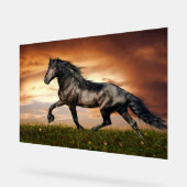 galopperend paard acryl bord (Hoek)