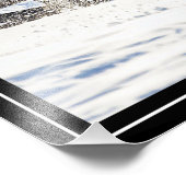 Galopperend Wit Paard Foto Afdruk (Hoek)