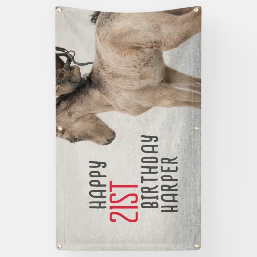 Galopperende goede tijden! Paardenverjaardagsbanne Spandoek (Verticaal)