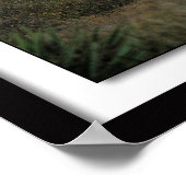 Galveston Beach Near Sunset Poster (Hoek)