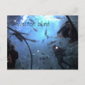 Galveston Briefkaart (Voorkant)