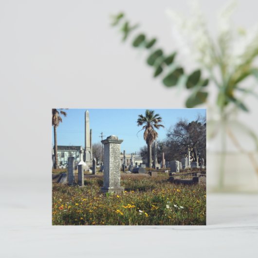 Galveston Graveyard Briefkaart (Staand voorkant)