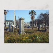 Galveston Graveyard Briefkaart (Voorkant)