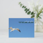 Galveston Island Texas Seagull Travel Briefkaart (Staand voorkant)