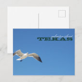 Galveston Island Texas Seagull Travel Briefkaart (Voorkant / Achterkant)