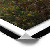 Galveston Sunrise East Beach Poster (Hoek)