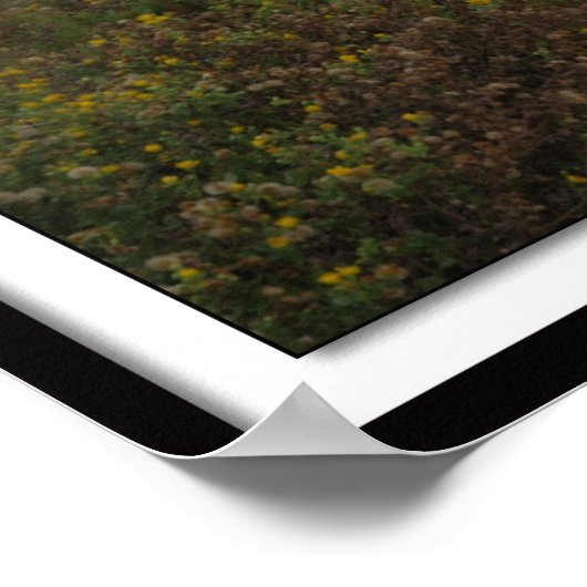 Galveston Sunrise East Beach Poster (Hoek)