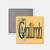 Galway (Gaelic) magneet (Voorkant / Achterkant)