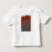 Gamay druiven net in de oogst bij kinder shirts (Voorkant)