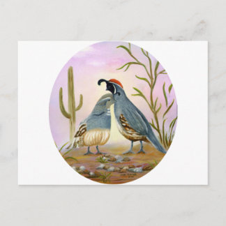 Gambel Quails Briefkaart