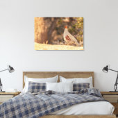 Gambels Quail Canvas Afdruk (Insitu (Slaapkamer))