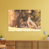 Gambels Quail Canvas Afdruk (Insitu (Woonkamer))